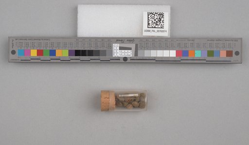 NSF ADBC EPICC TCN