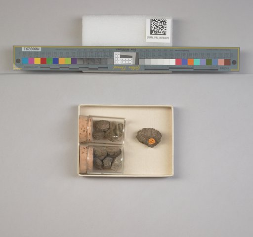 NSF ADBC EPICC TCN