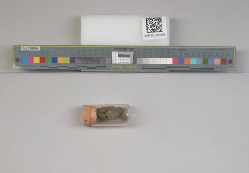 NSF ADBC EPICC TCN