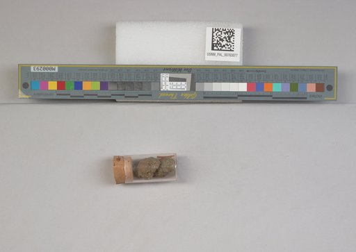 NSF ADBC EPICC TCN