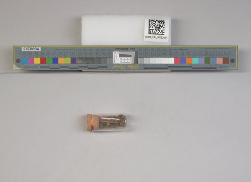 NSF ADBC EPICC TCN