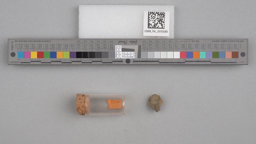 NSF ADBC EPICC TCN