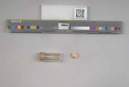 NSF ADBC EPICC TCN