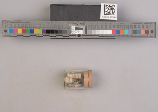 NSF ADBC EPICC TCN