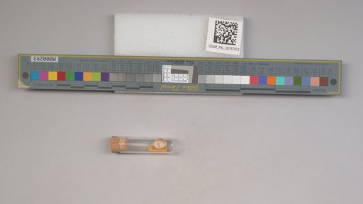 NSF ADBC EPICC TCN
