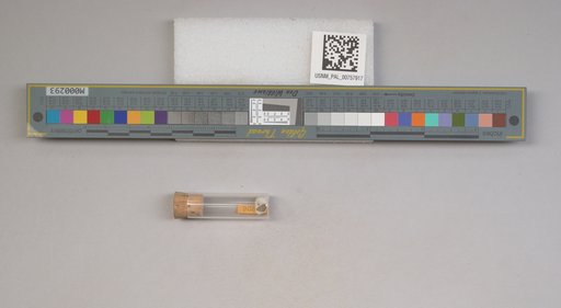 NSF ADBC EPICC TCN
