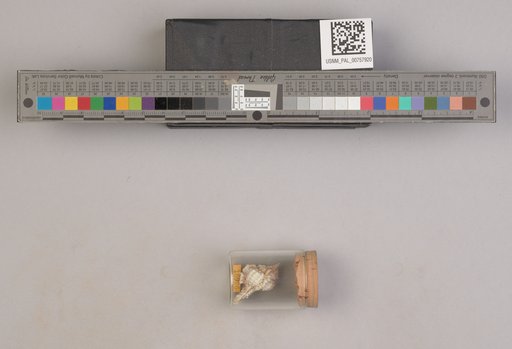 NSF ADBC EPICC TCN