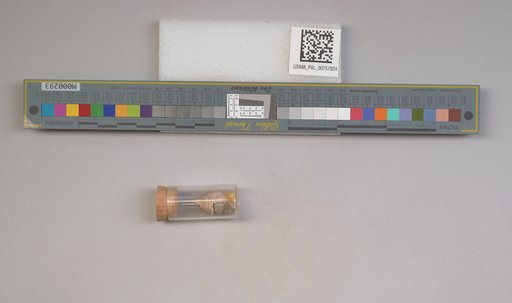 NSF ADBC EPICC TCN