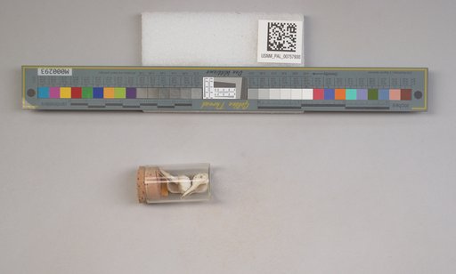NSF ADBC EPICC TCN