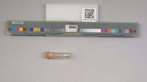 NSF ADBC EPICC TCN