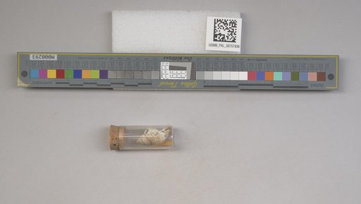 NSF ADBC EPICC TCN