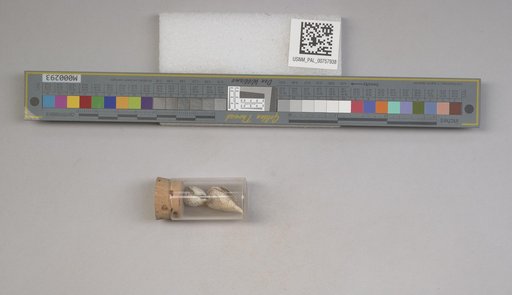 NSF ADBC EPICC TCN