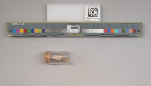 NSF ADBC EPICC TCN
