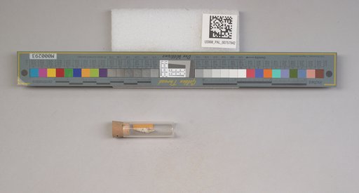 NSF ADBC EPICC TCN
