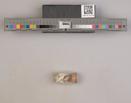 NSF ADBC EPICC TCN