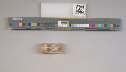 NSF ADBC EPICC TCN