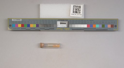 NSF ADBC EPICC TCN