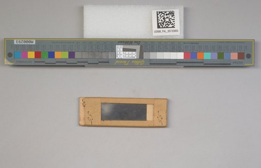 NSF ADBC EPICC TCN