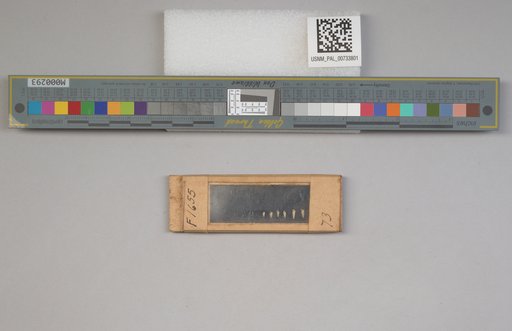 NSF ADBC EPICC TCN