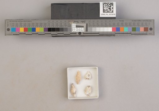 NSF ADBC EPICC TCN