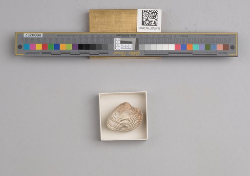 NSF ADBC EPICC TCN