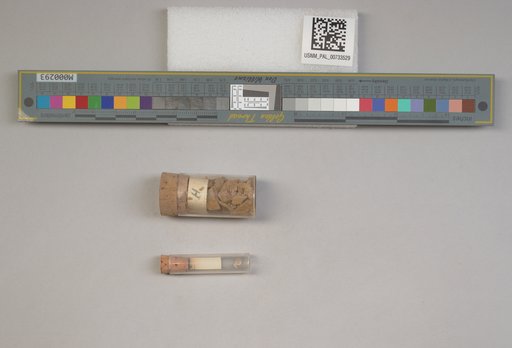 NSF ADBC EPICC TCN