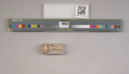 NSF ADBC EPICC TCN