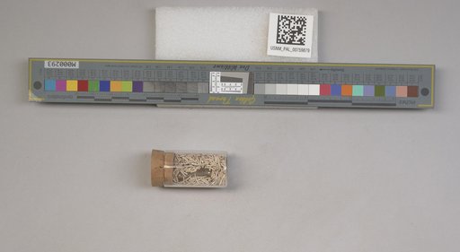 NSF ADBC EPICC TCN