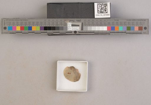 NSF ADBC EPICC TCN