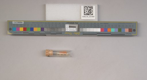 NSF ADBC EPICC TCN