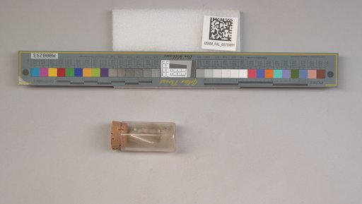 NSF ADBC EPICC TCN