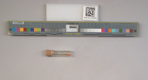 NSF ADBC EPICC TCN