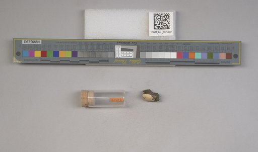NSF ADBC EPICC TCN