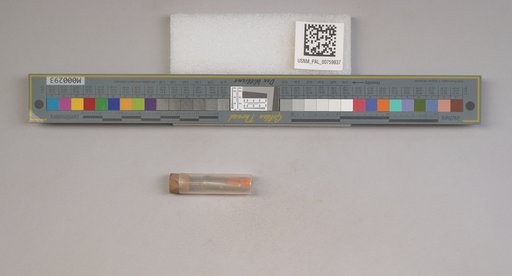 NSF ADBC EPICC TCN
