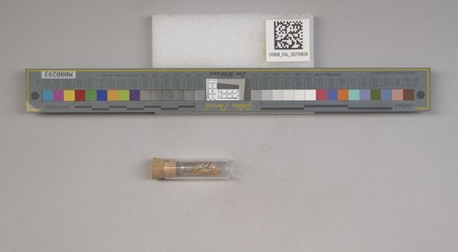 NSF ADBC EPICC TCN