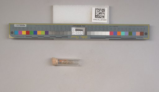 NSF ADBC EPICC TCN