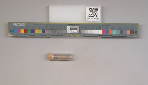 NSF ADBC EPICC TCN