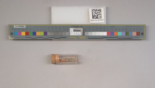 NSF ADBC EPICC TCN