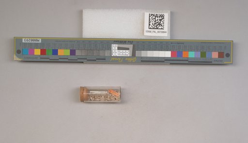 NSF ADBC EPICC TCN