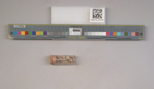 NSF ADBC EPICC TCN