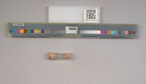 NSF ADBC EPICC TCN