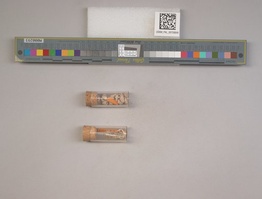 NSF ADBC EPICC TCN