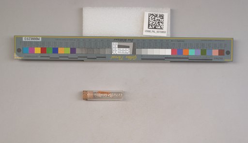 NSF ADBC EPICC TCN