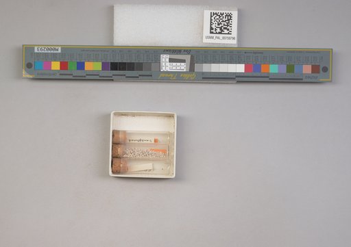 NSF ADBC EPICC TCN