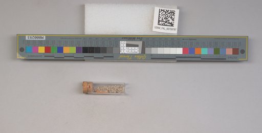 NSF ADBC EPICC TCN