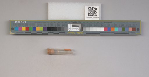 NSF ADBC EPICC TCN