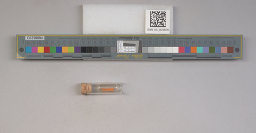 NSF ADBC EPICC TCN
