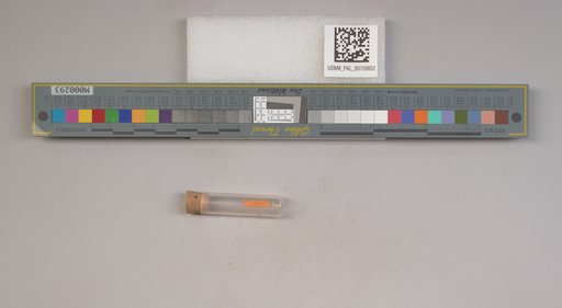 NSF ADBC EPICC TCN