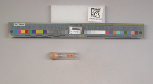 NSF ADBC EPICC TCN