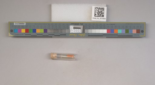 NSF ADBC EPICC TCN